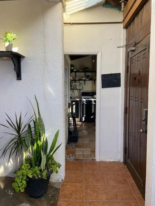 Jaguar Studio Tijuana Eksteriør billede